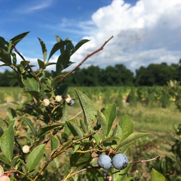 Meet your Posher, Sarah - Picture 14 of 14